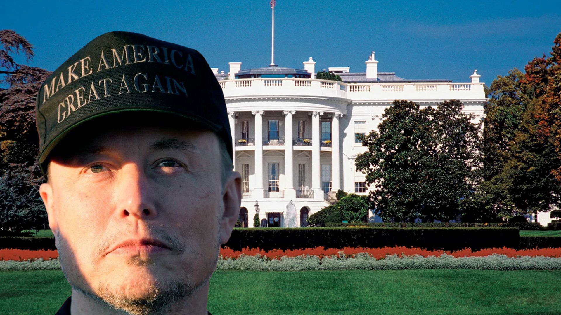 Elon Musk in front of the White House