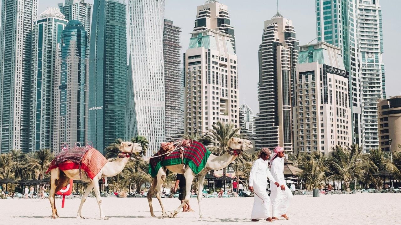 man with camels on the beach in front of dubai skyscrapers.jpg